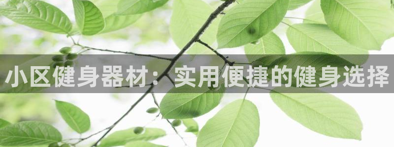意昂4招商