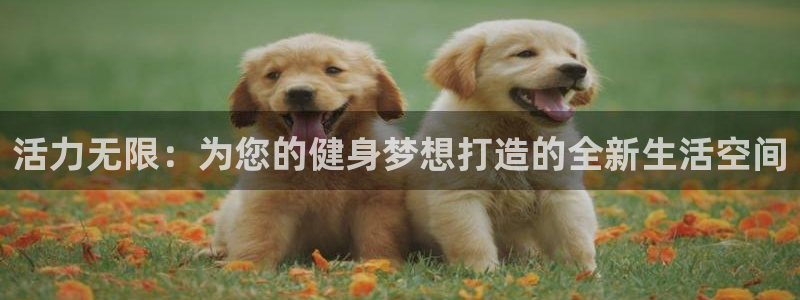 意昂4官网
