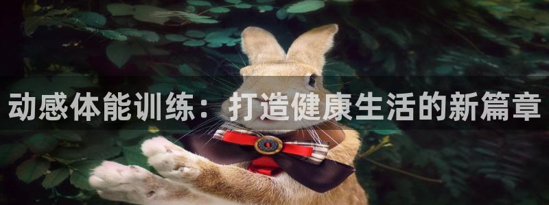 意昂4招商
