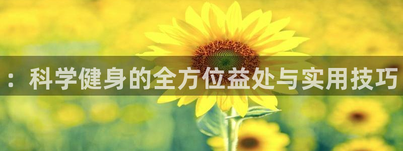 意昂4代理