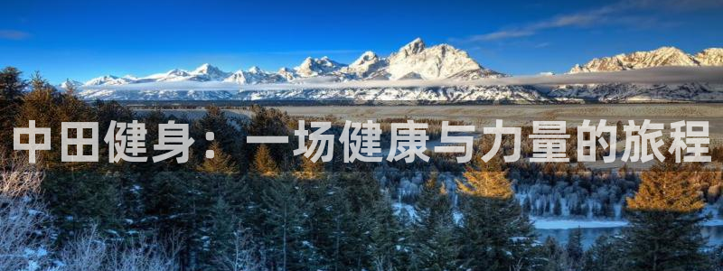 意昂4注册