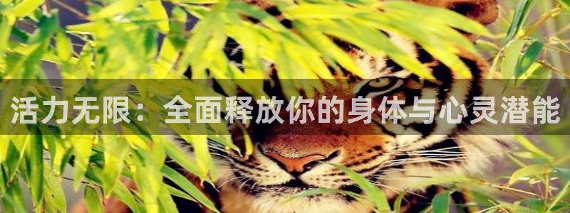 意昂4注册